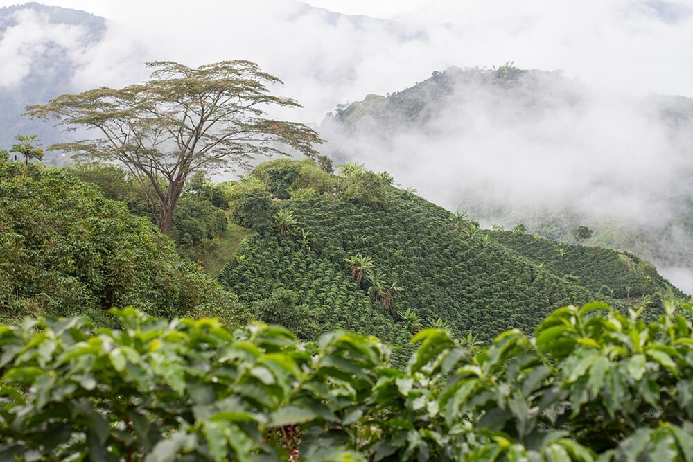 Colombia