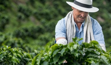 farmer1