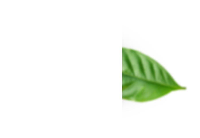 sustainability