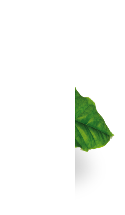sustainability