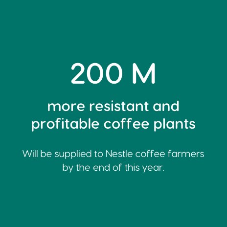 sustainability